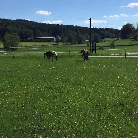 Haus Am Treffenbach Apartman Waldmünchen Kültér fotó